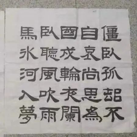 精品久久久久久无码中文字幕一区