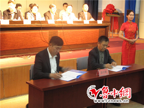 精品久久久久久无码中文字幕一区