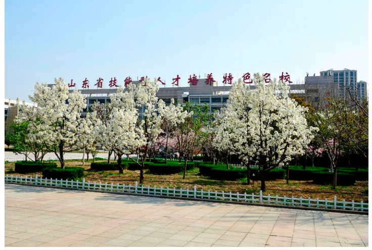 精品久久久久久无码中文字幕一区