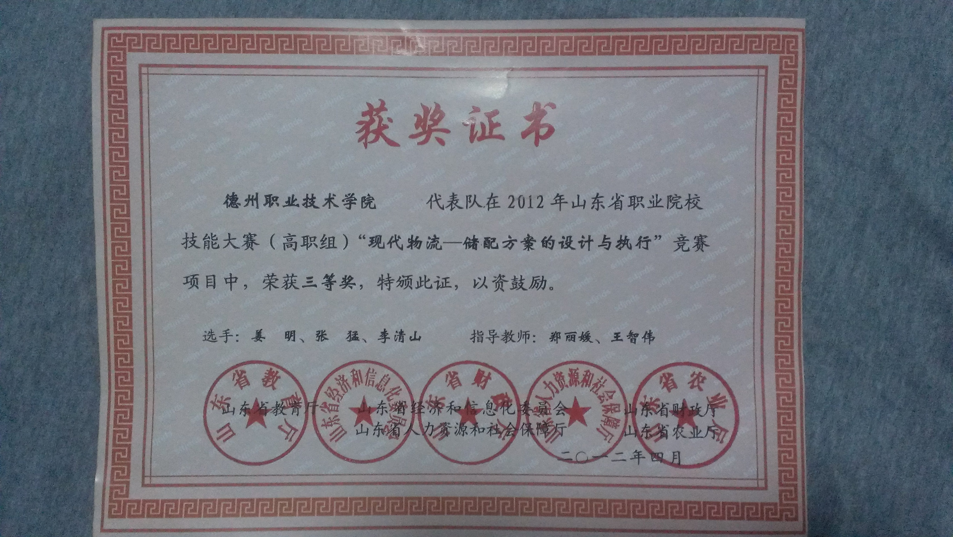 精品久久久久久无码中文字幕一区