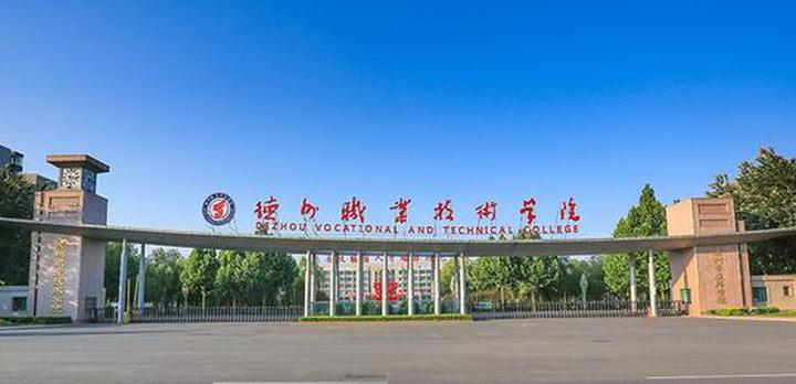 精品久久久久久无码中文字幕一区