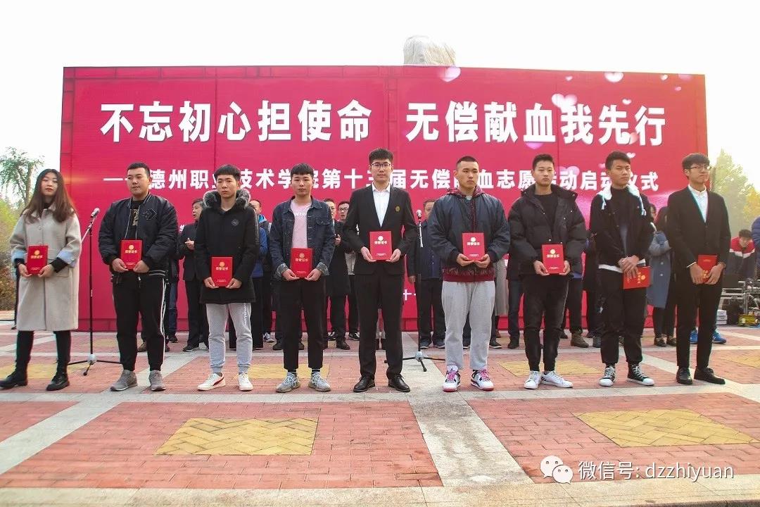 精品久久久久久无码中文字幕一区