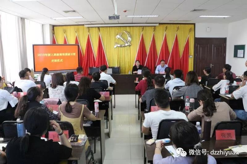 精品久久久久久无码中文字幕一区