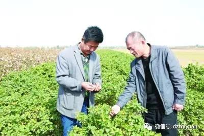 精品久久久久久无码中文字幕一区