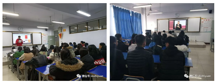 精品久久久久久无码中文字幕一区