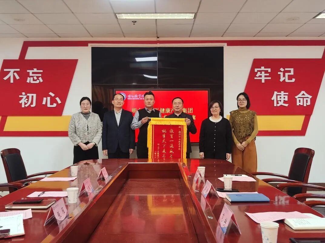 精品久久久久久无码中文字幕一区