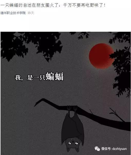 精品久久久久久无码中文字幕一区