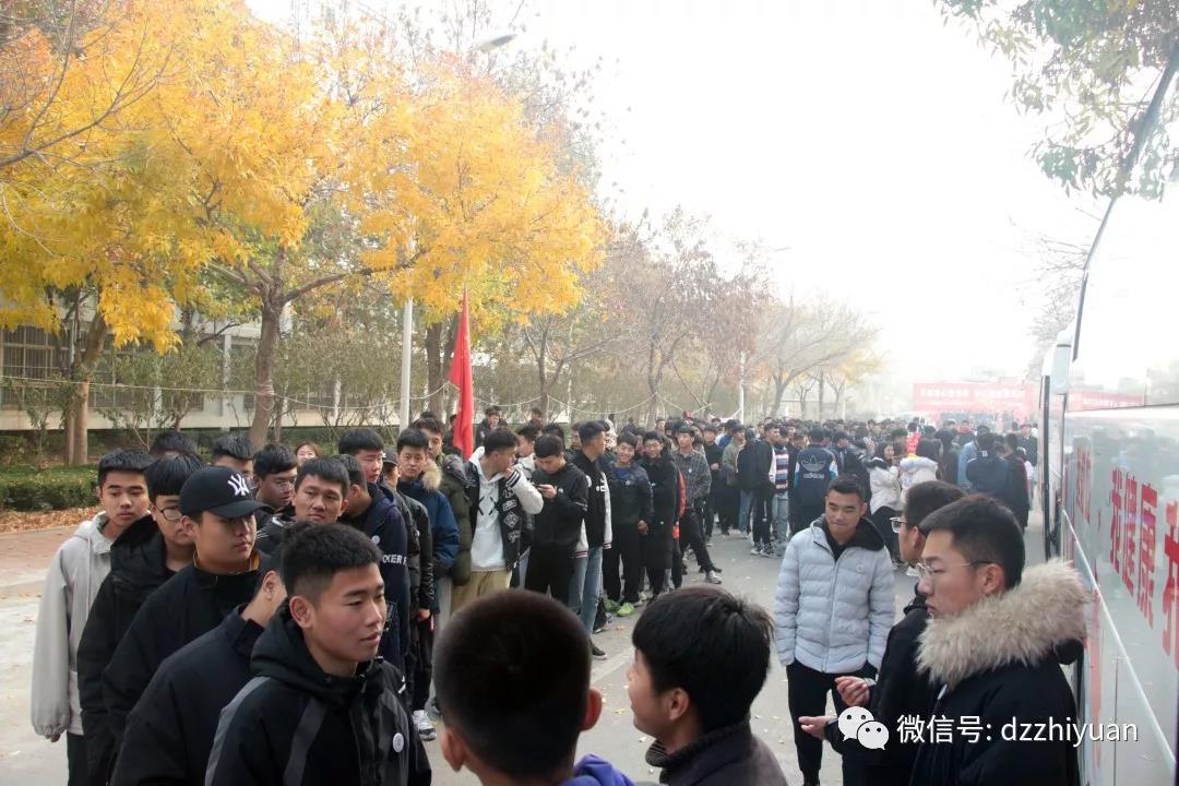 精品久久久久久无码中文字幕一区