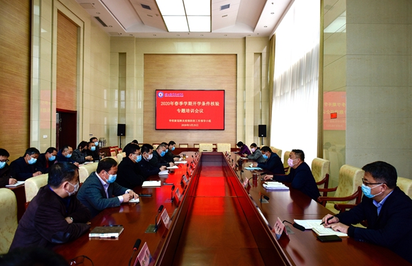 精品久久久久久无码中文字幕一区