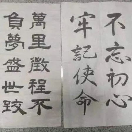 精品久久久久久无码中文字幕一区