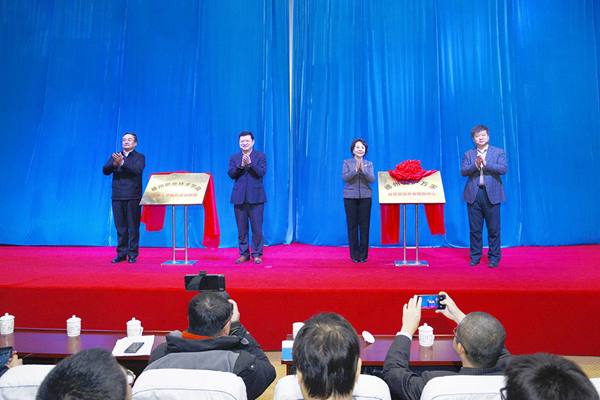 精品久久久久久无码中文字幕一区