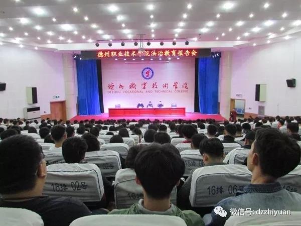 精品久久久久久无码中文字幕一区