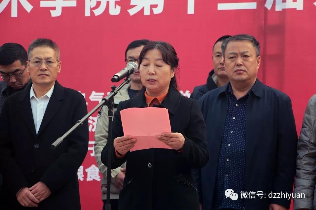 精品久久久久久无码中文字幕一区