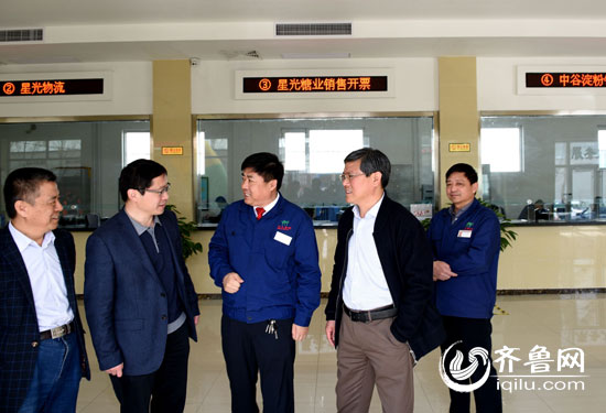 精品久久久久久无码中文字幕一区