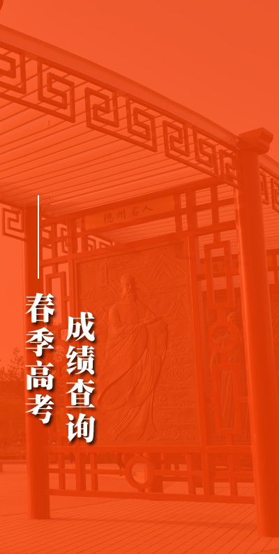 精品久久久久久无码中文字幕一区