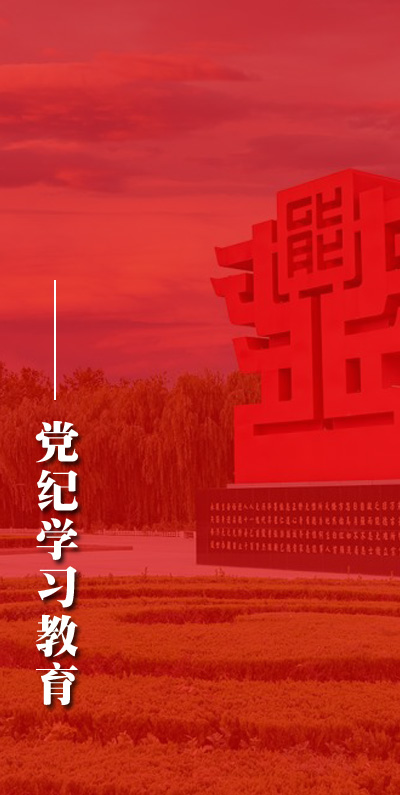 精品久久久久久无码中文字幕一区