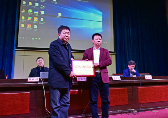 精品久久久久久无码中文字幕一区
