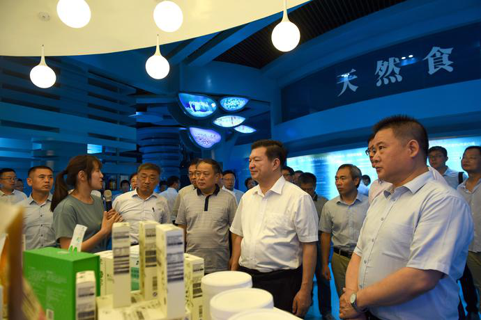 精品久久久久久无码中文字幕一区