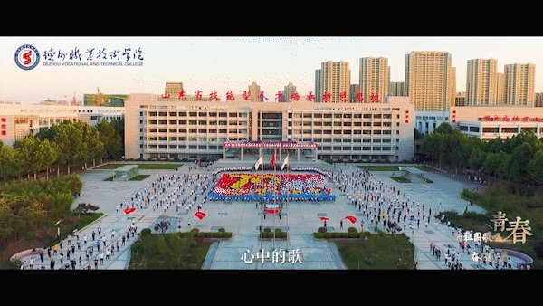 精品久久久久久无码中文字幕一区