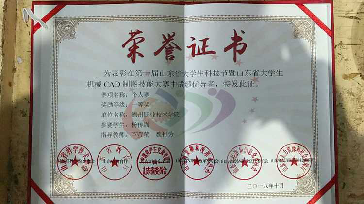 精品久久久久久无码中文字幕一区