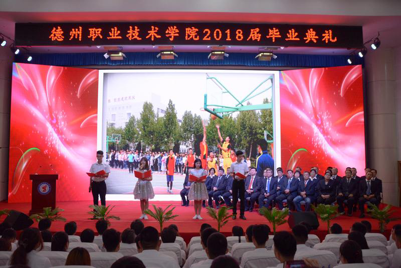 精品久久久久久无码中文字幕一区