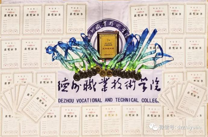 精品久久久久久无码中文字幕一区