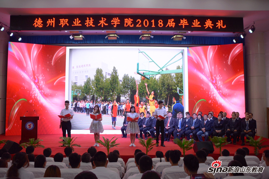 精品久久久久久无码中文字幕一区