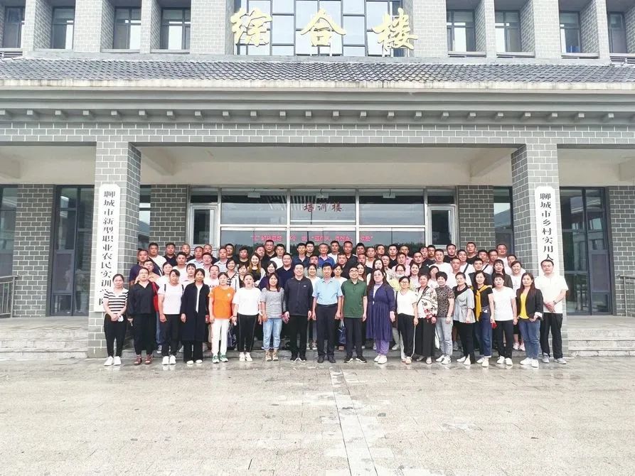 精品久久久久久无码中文字幕一区
