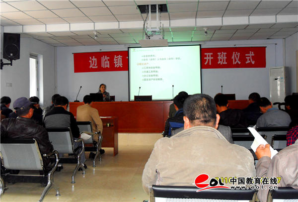精品久久久久久无码中文字幕一区