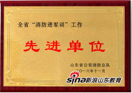 精品久久久久久无码中文字幕一区