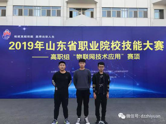 精品久久久久久无码中文字幕一区
