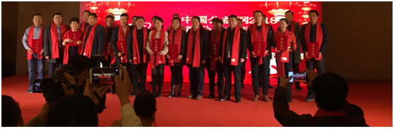 精品久久久久久无码中文字幕一区