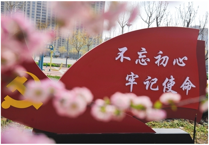 精品久久久久久无码中文字幕一区