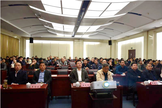 精品久久久久久无码中文字幕一区
